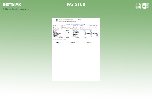 Модерен стил Yeow Auto Credit шаблон за платен список